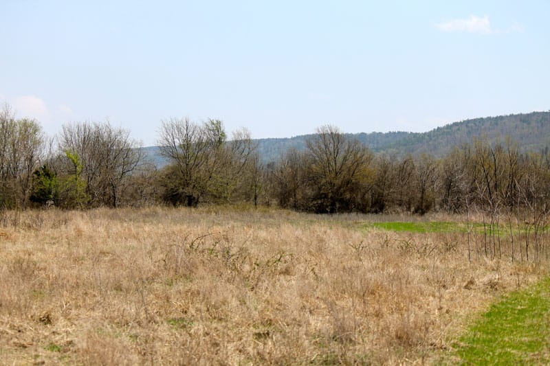 Daisy Meadows Tract 20 photo 7
