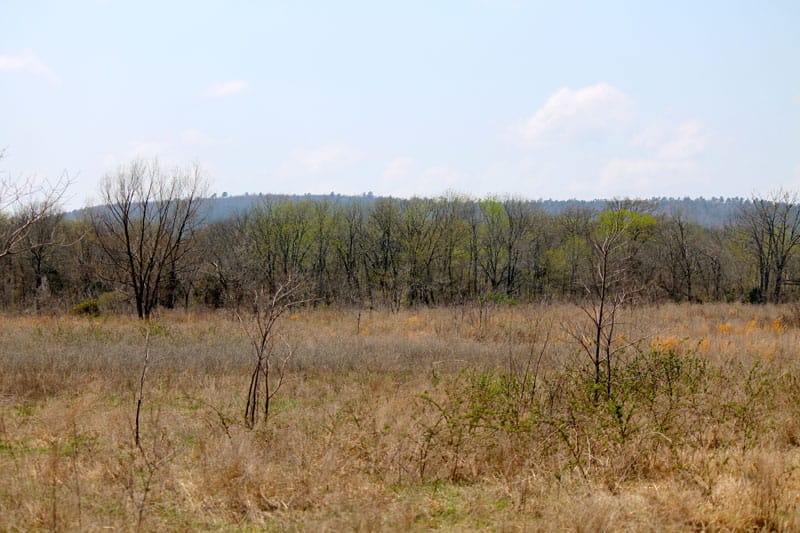 Daisy Meadows Tract 20 photo 10