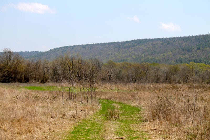 Daisy Meadows Tract 20 photo 1