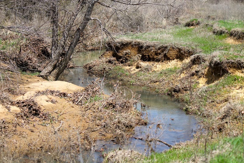 Daisy Meadows Tract 20 photo 11