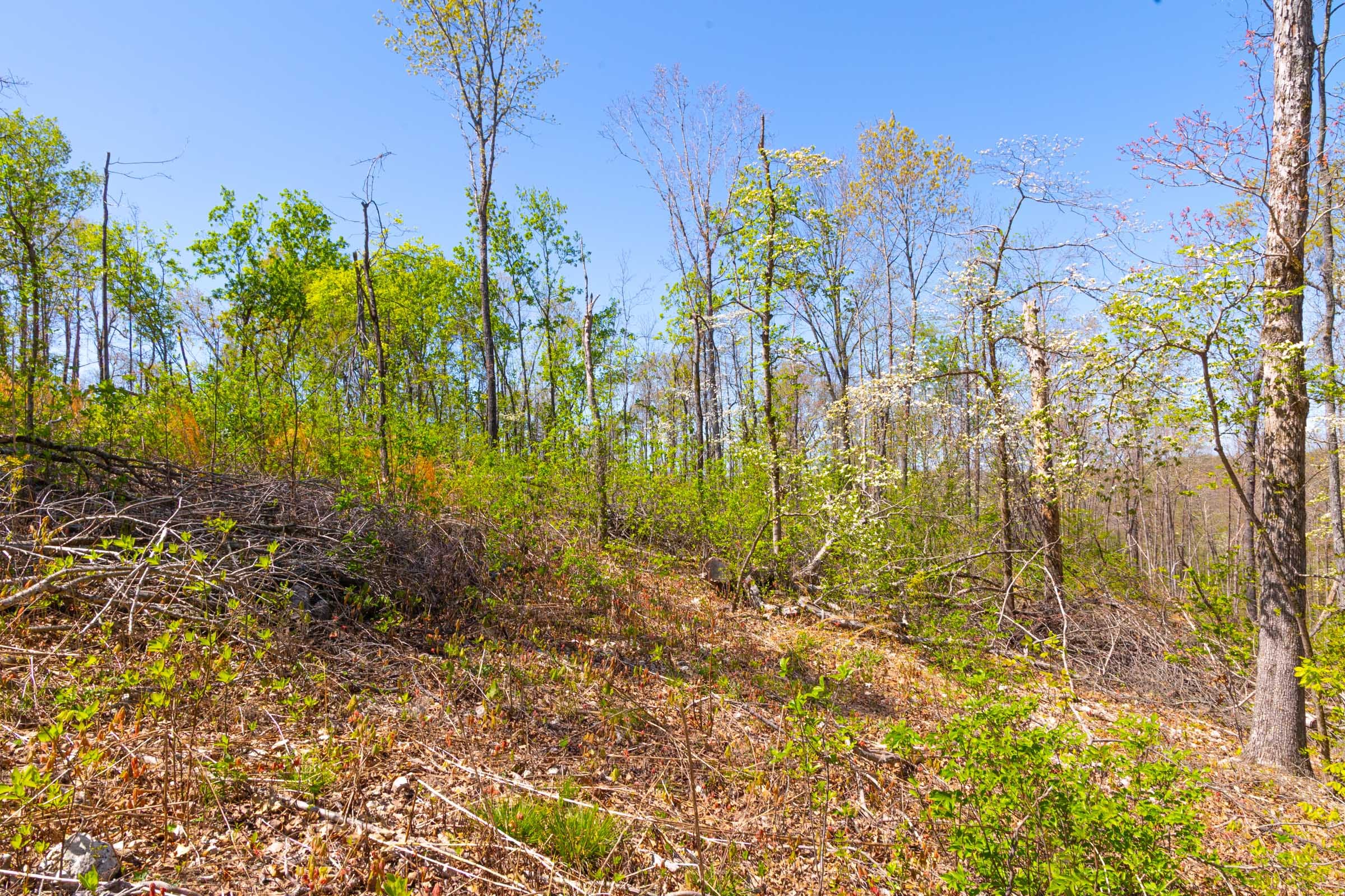 Lazybrook Tract 10 photo 9
