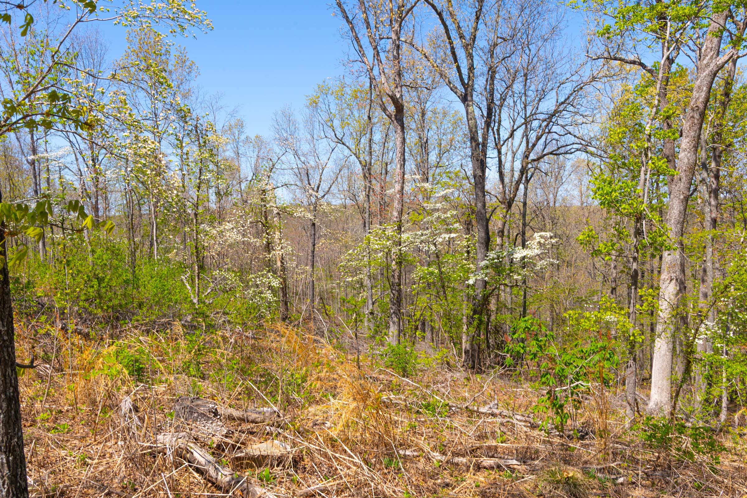 Lazybrook Tract 10 photo 1