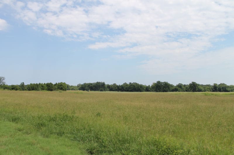 McCoy Creek Ranch Tract 5 photo 2
