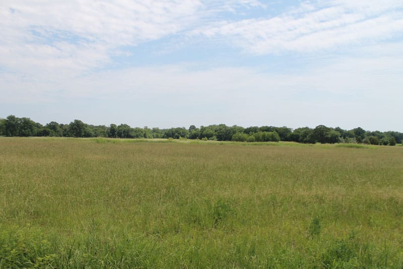 McCoy Creek Ranch Tract 5 photo 3