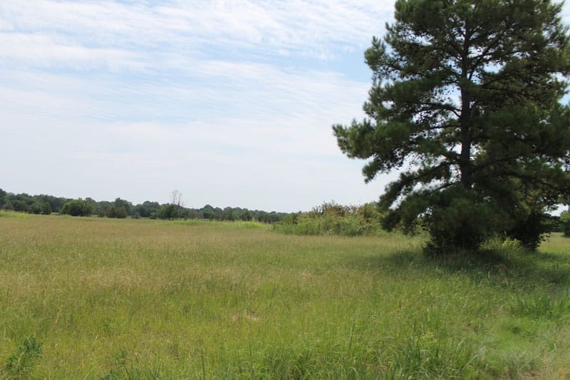 McCoy Creek Ranch Tract 5 photo 4