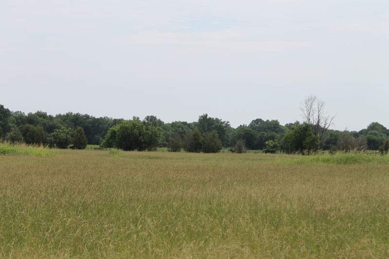 McCoy Creek Ranch Tract 5 photo 5
