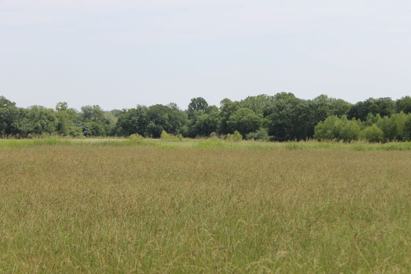 McCoy Creek Ranch Tract 5 photo 6