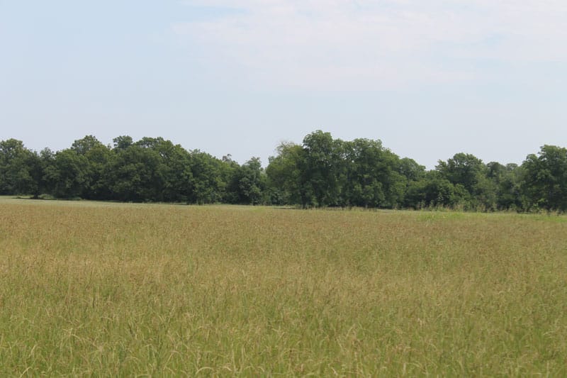 McCoy Creek Ranch Tract 5 photo 7
