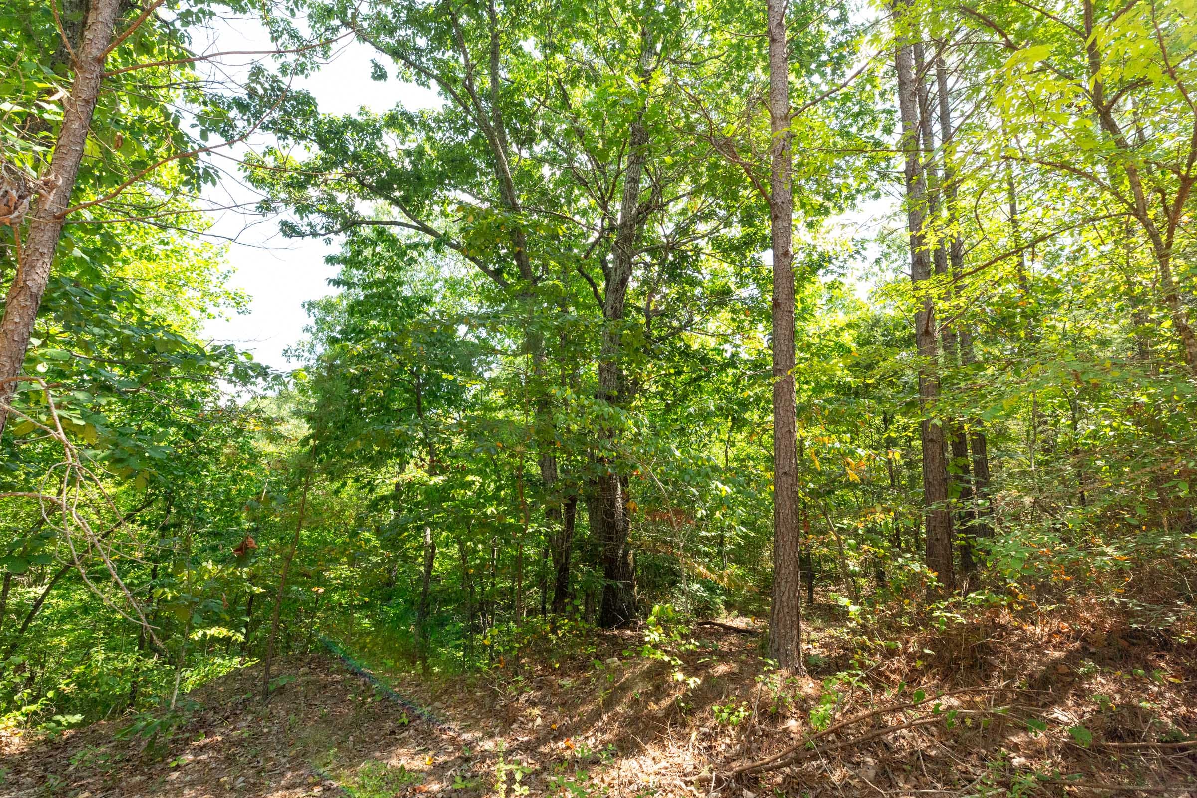 Harvest Ridge Tract 6 photo 2
