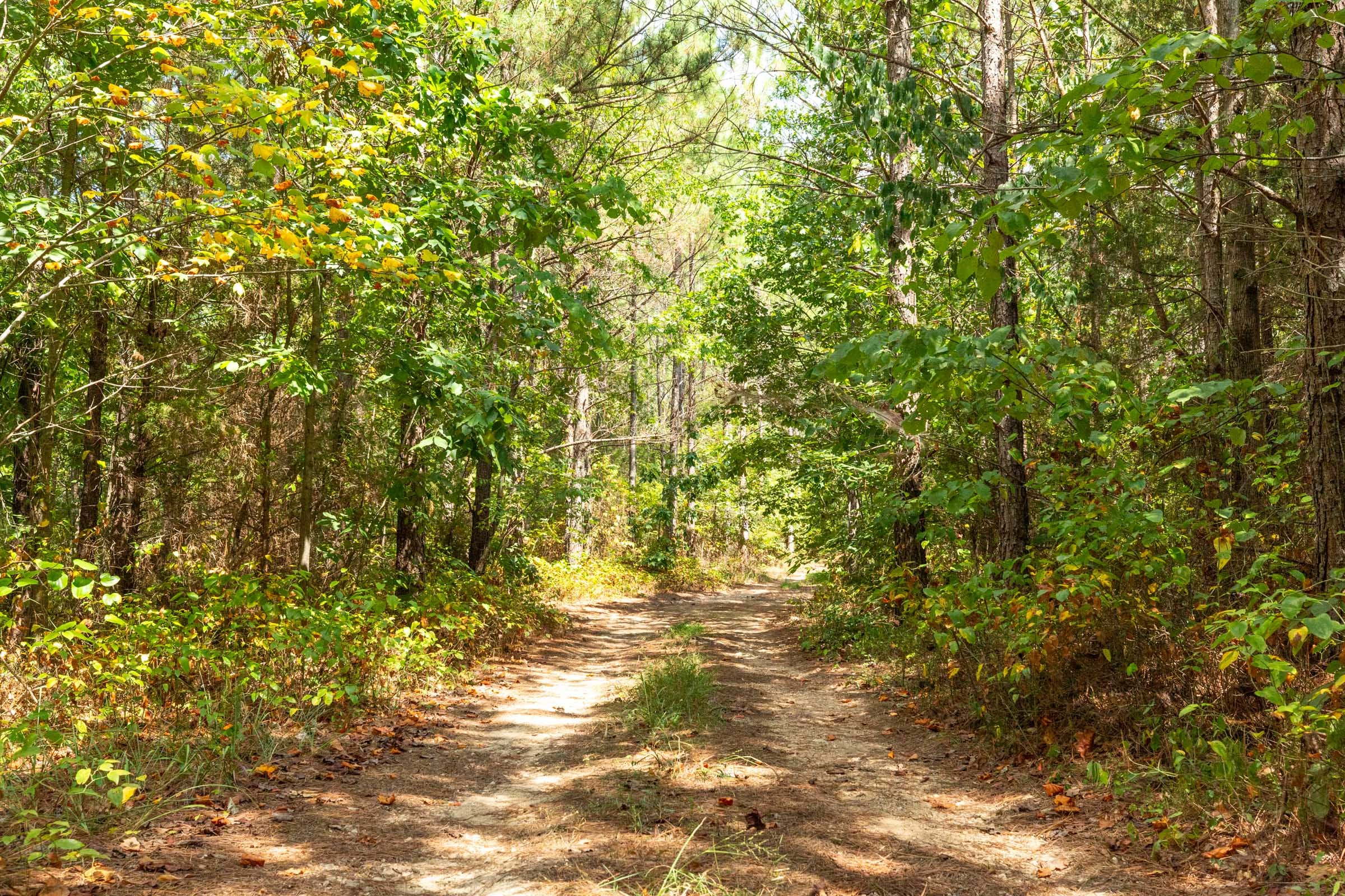 Harvest Ridge Tract 6 photo 1