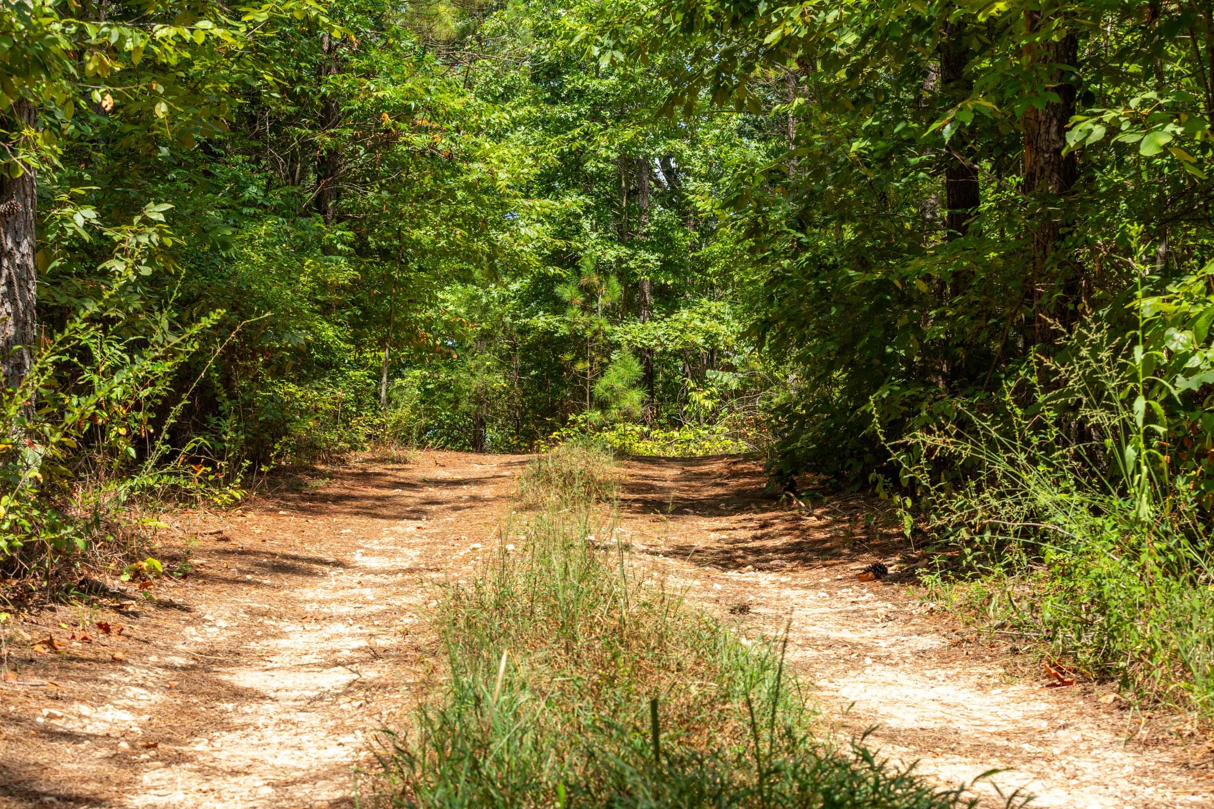 Harvest Ridge Tract 6 photo 6