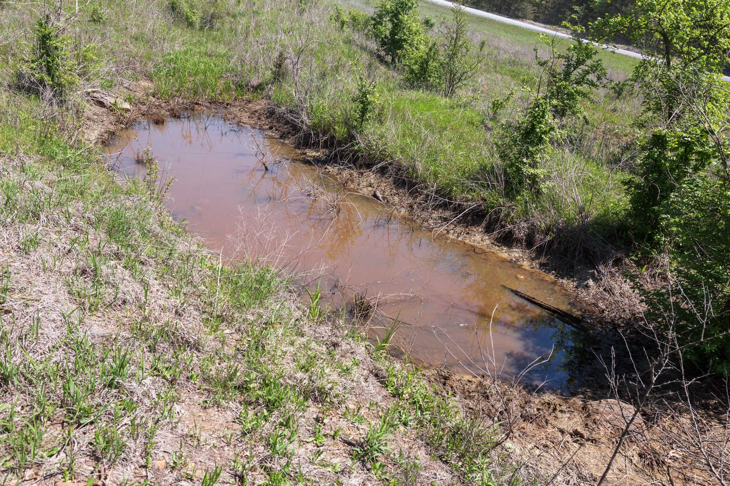 Allie’s Acres Tract 2 photo 2