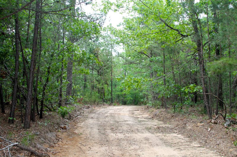 Trophy Ridge Phase II Tract 64 photo 1