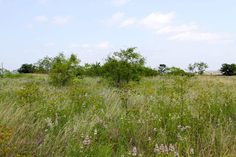 Meadowview Estates Tract 72 photo 4