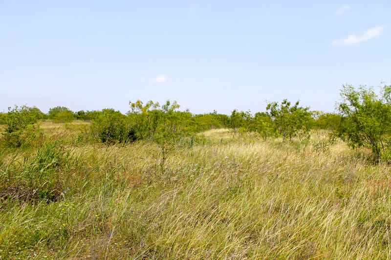 Meadowview Estates Tract 72 photo 3