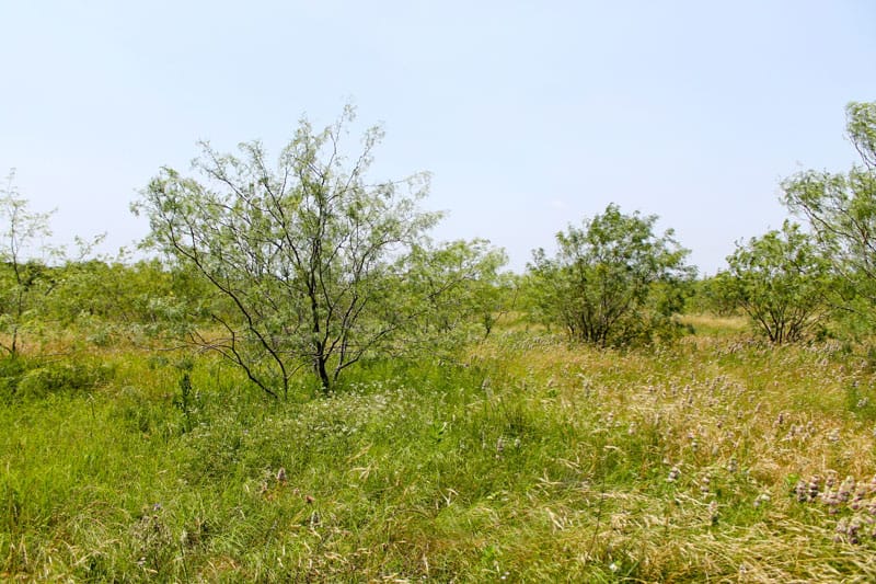 Meadowview Estates Tract 72 photo 6