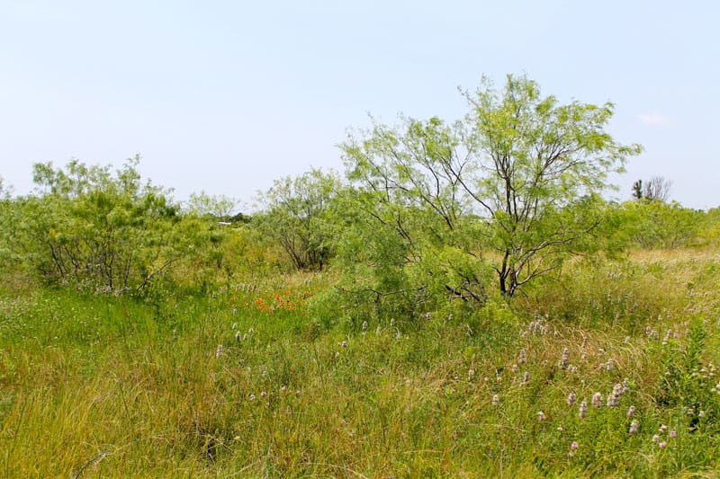 Meadowview Estates Tract 72 photo 7