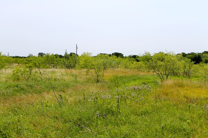Meadowview Estates Tract 72 photo 8