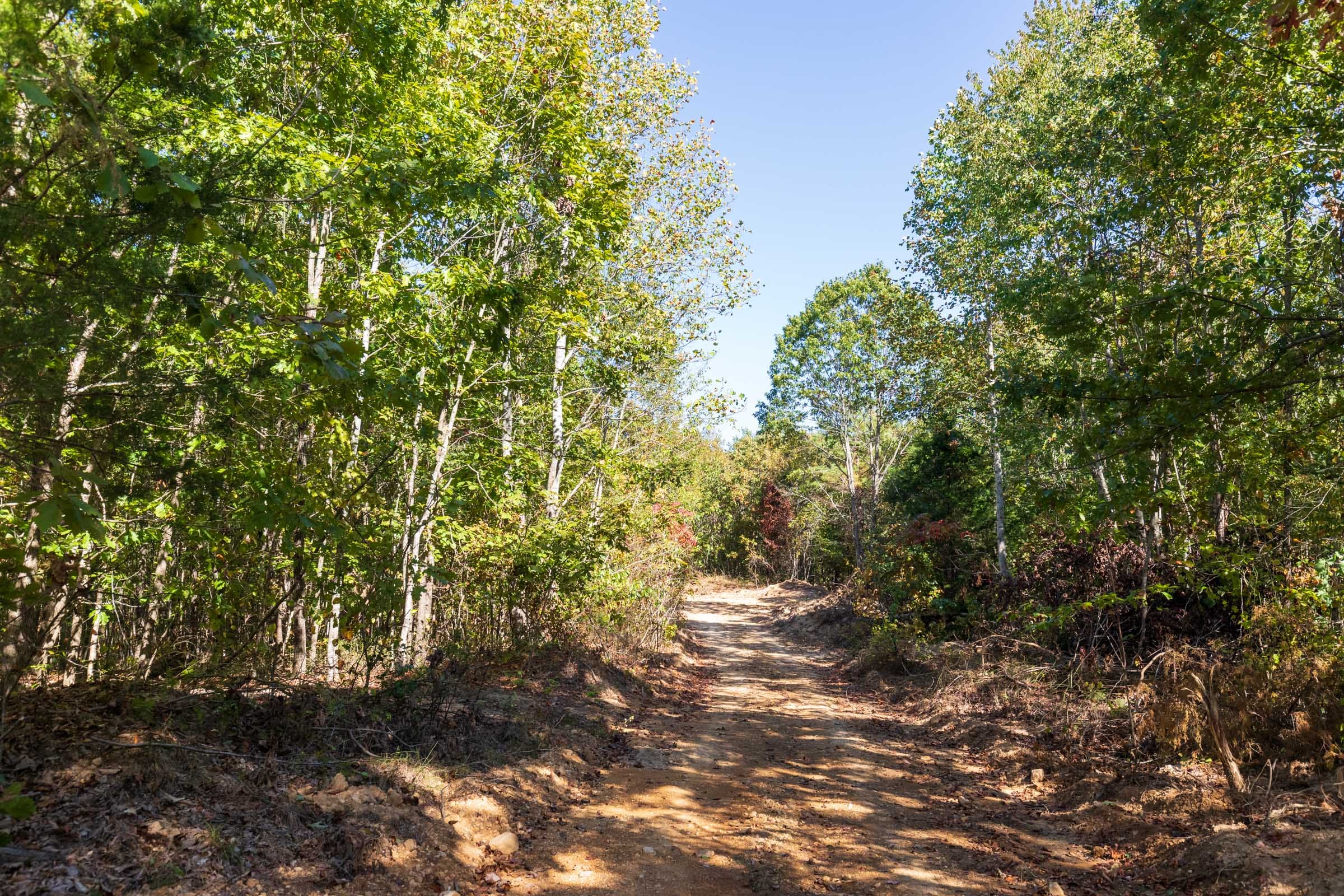 Bear Brook Tract 12 photo 1