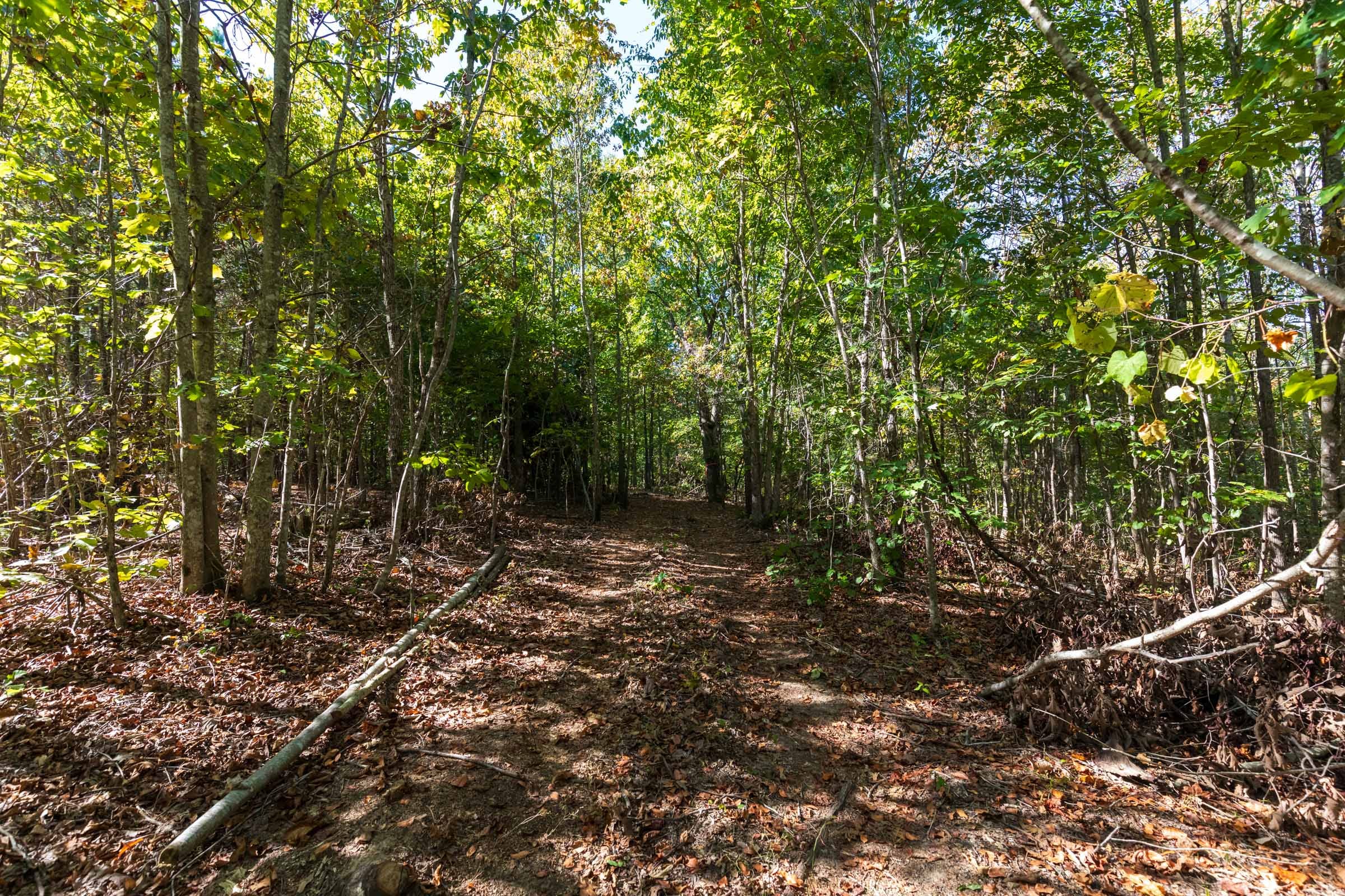 Bear Brook Tract 12 photo 5