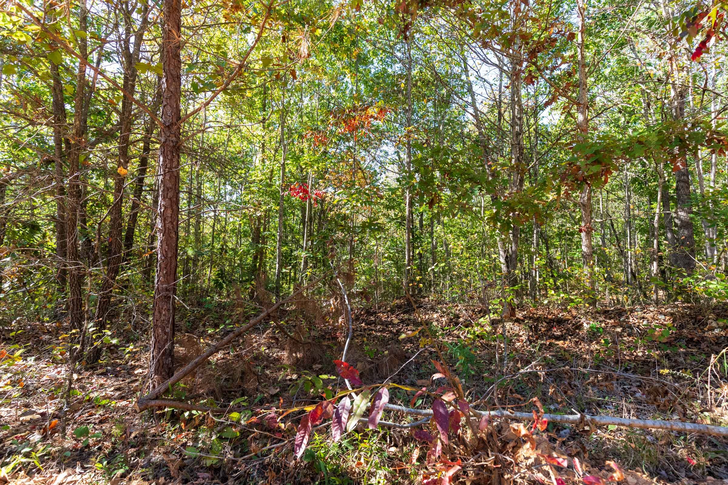 Bear Brook Tract 12 photo 4