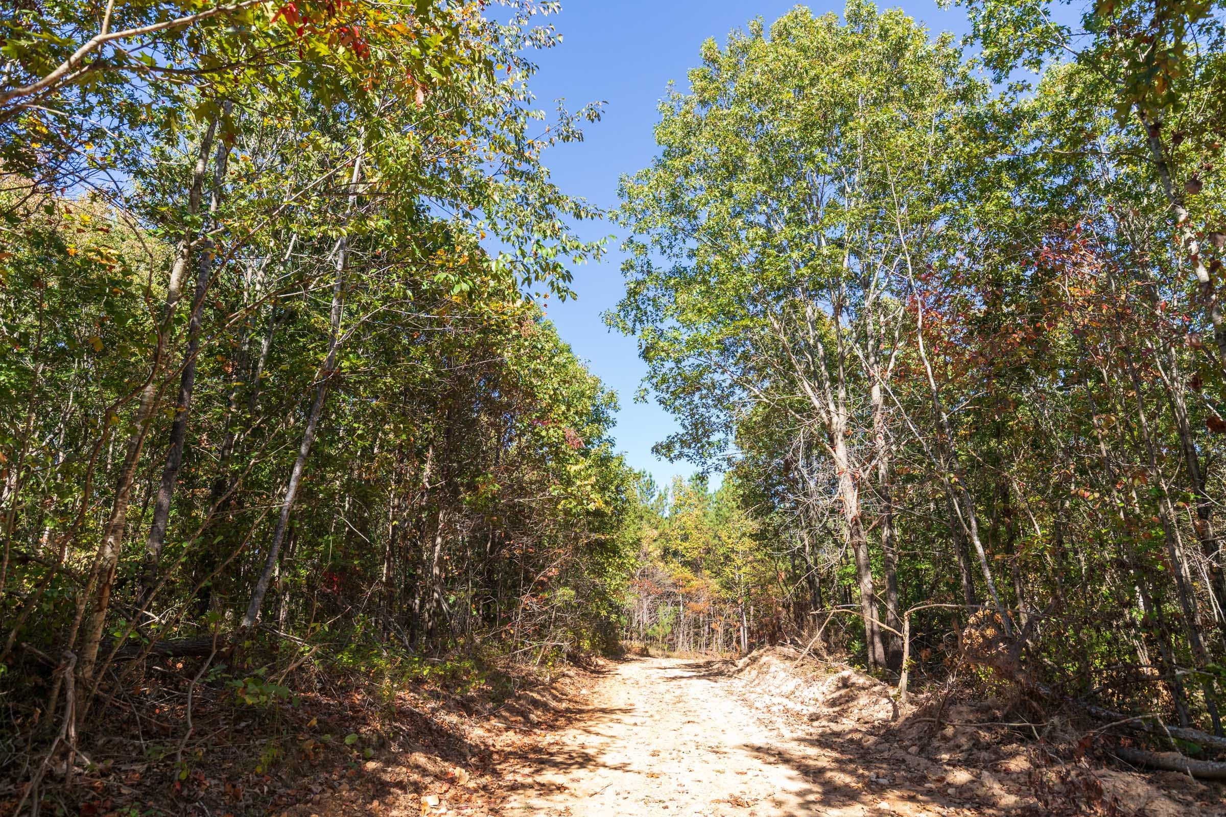 Bear Brook Tract 12 photo 7