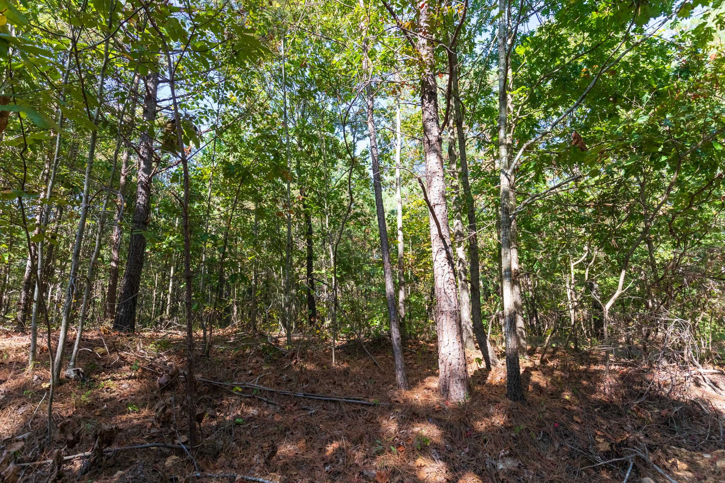 Bear Brook Tract 12 photo 9