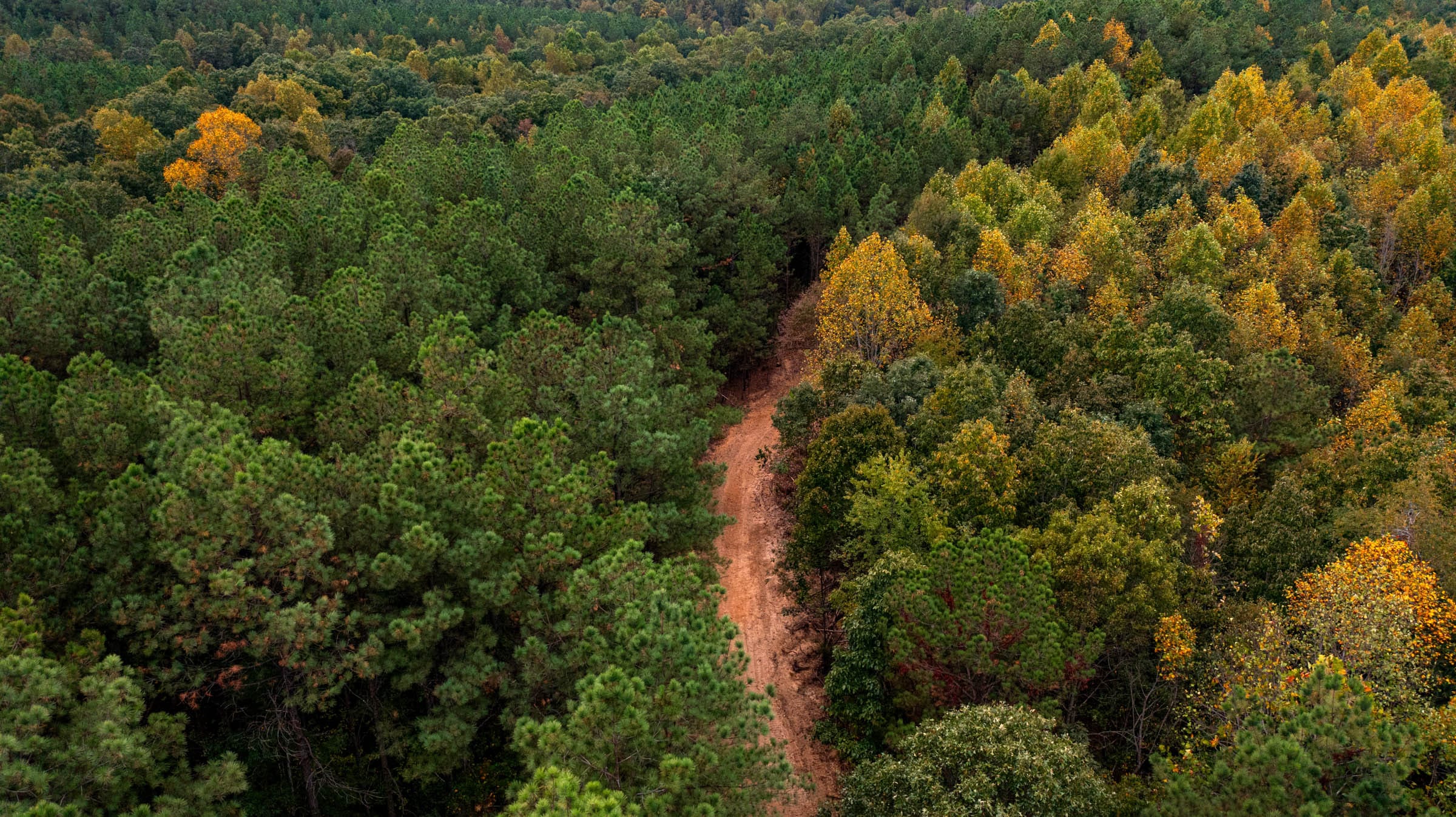 Bear Brook Tract 12 photo 2
