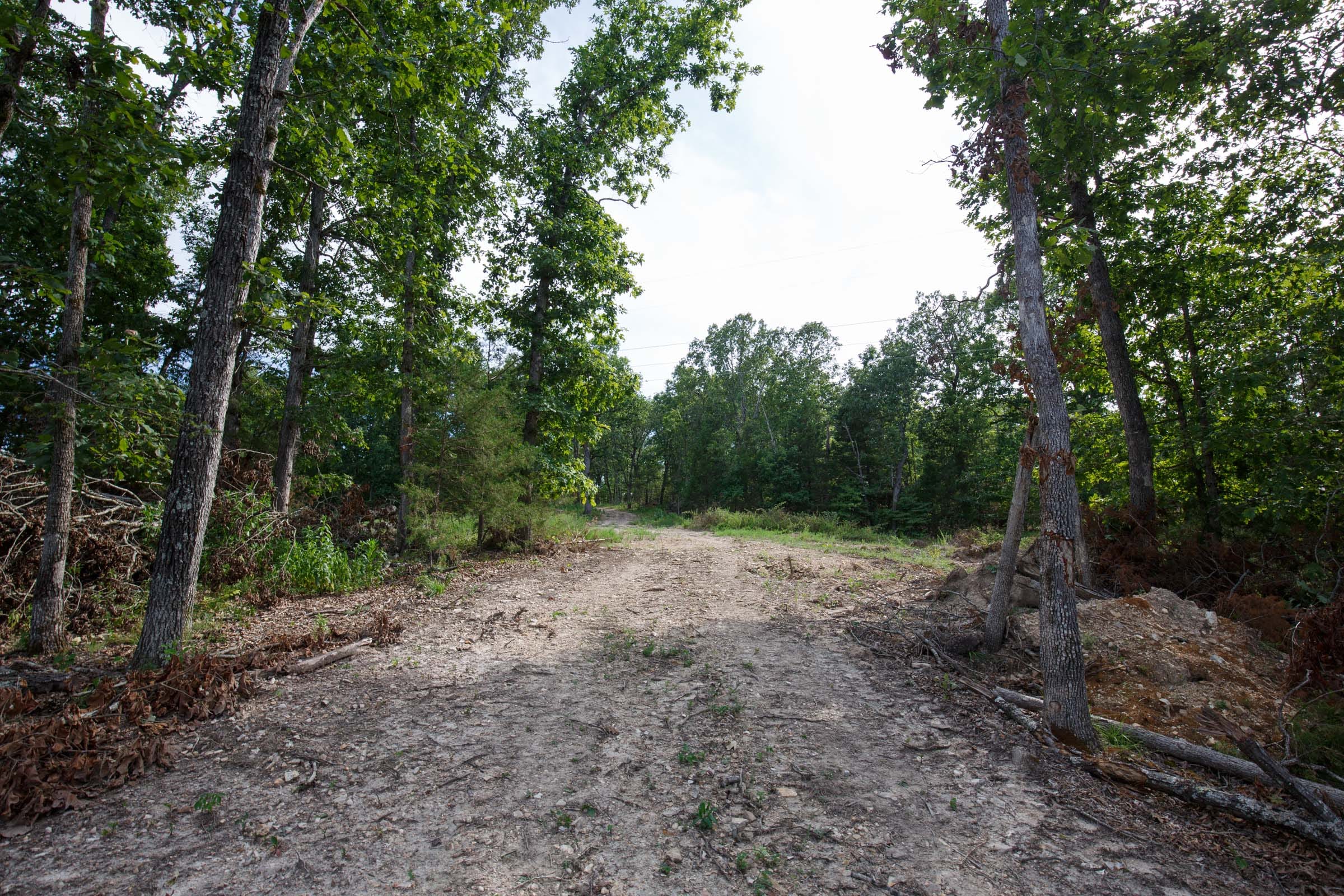 Wildwood Tract 20 photo 5