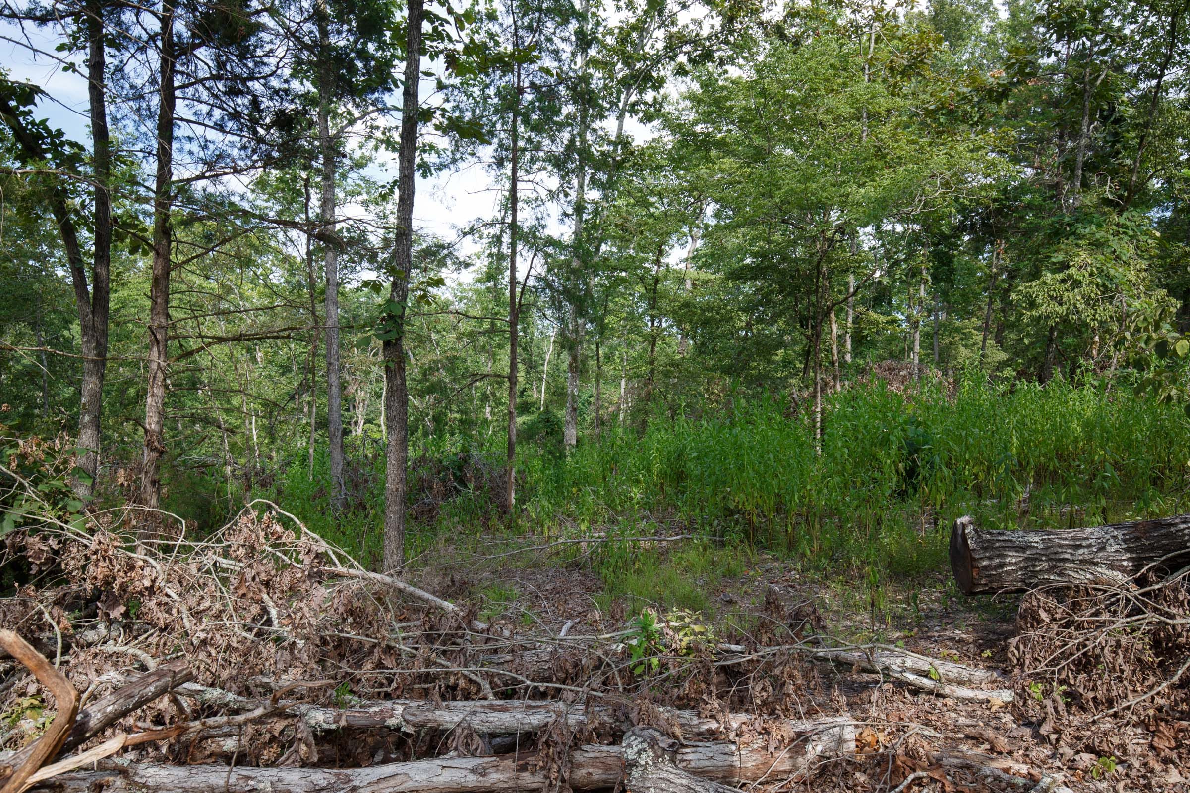 Wildwood Tract 20 photo 9