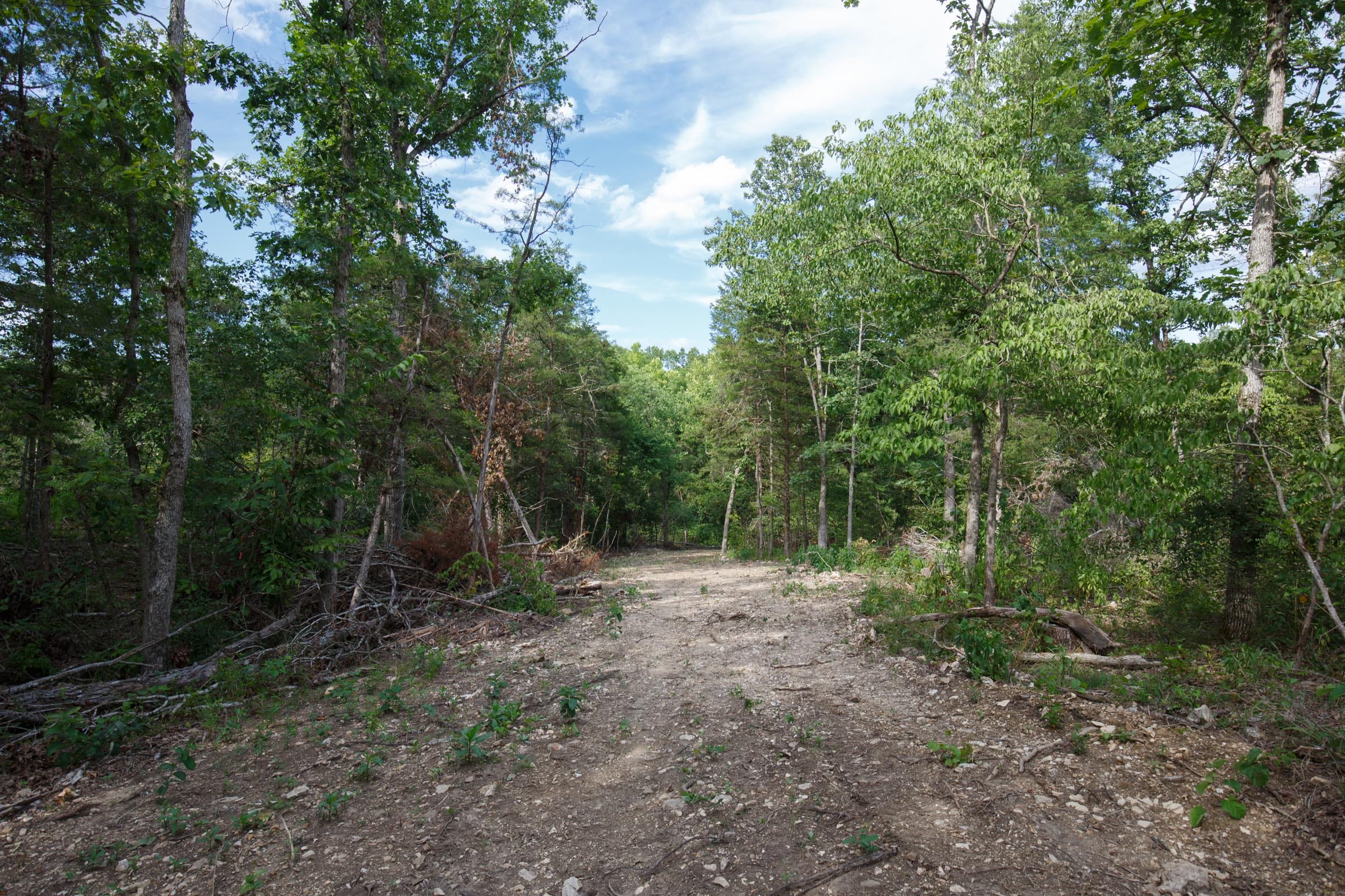 Wildwood Tract 20 photo 8