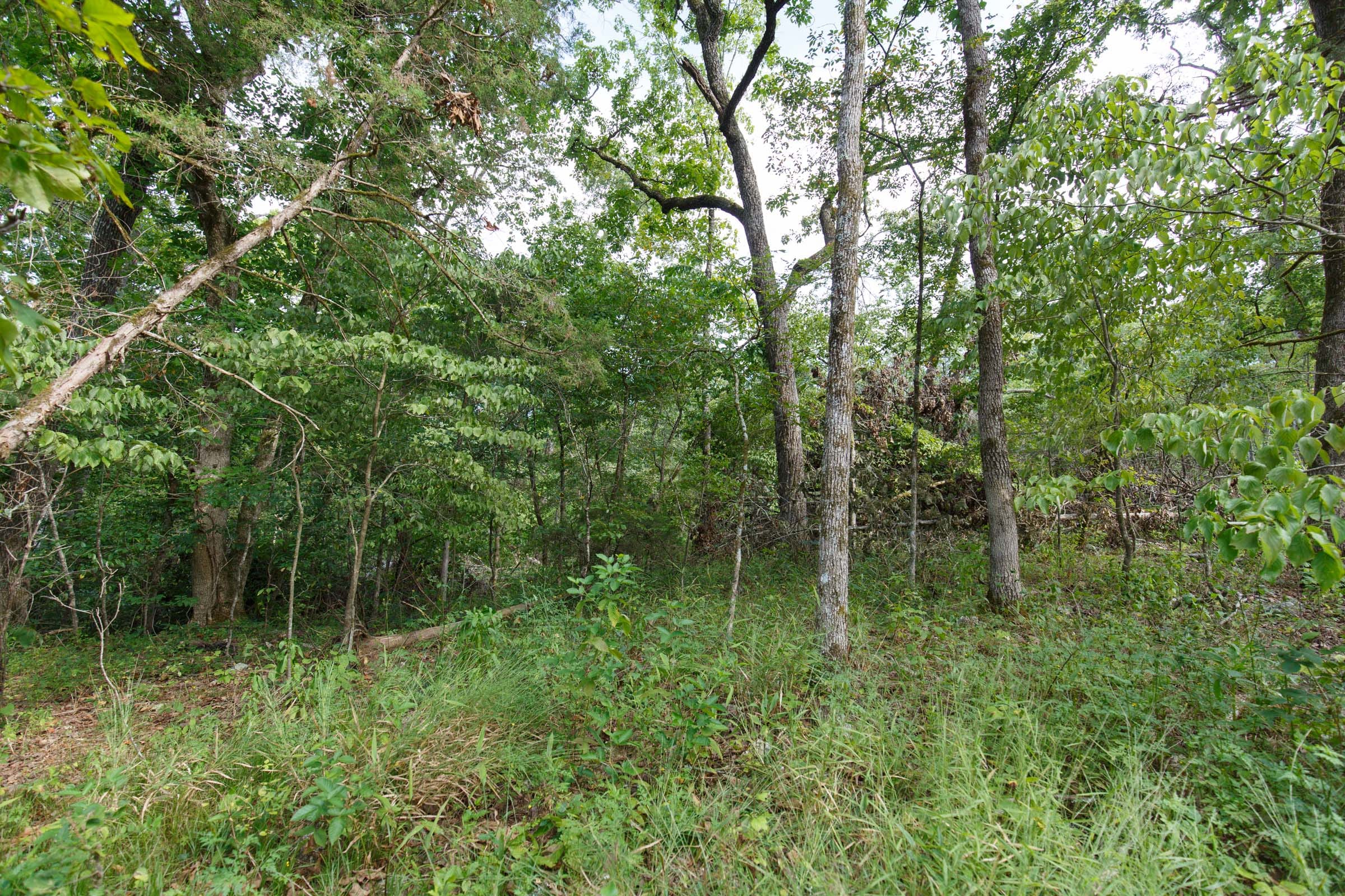 Wildwood Tract 20 photo 10