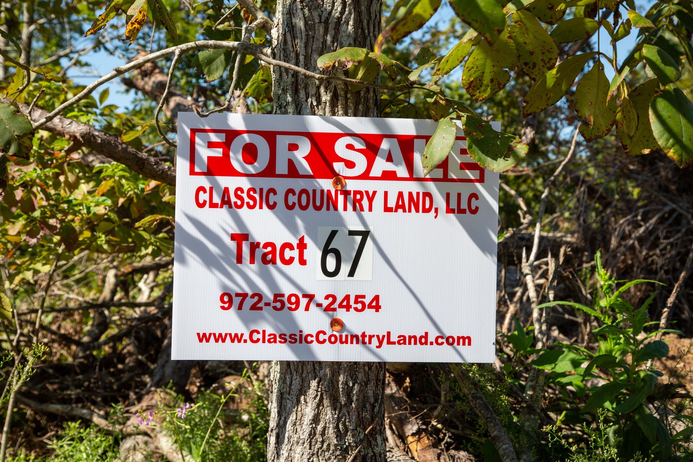 Borgmann’s Hollow Phase II Tract 67 photo 1