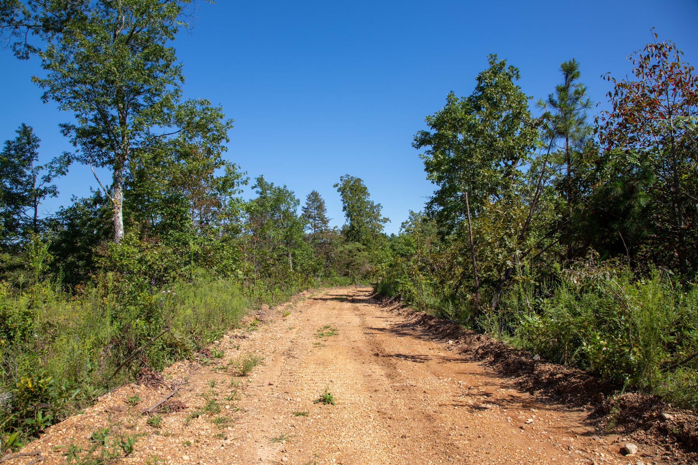 Borgmann’s Hollow Phase II Tract 67 photo 2