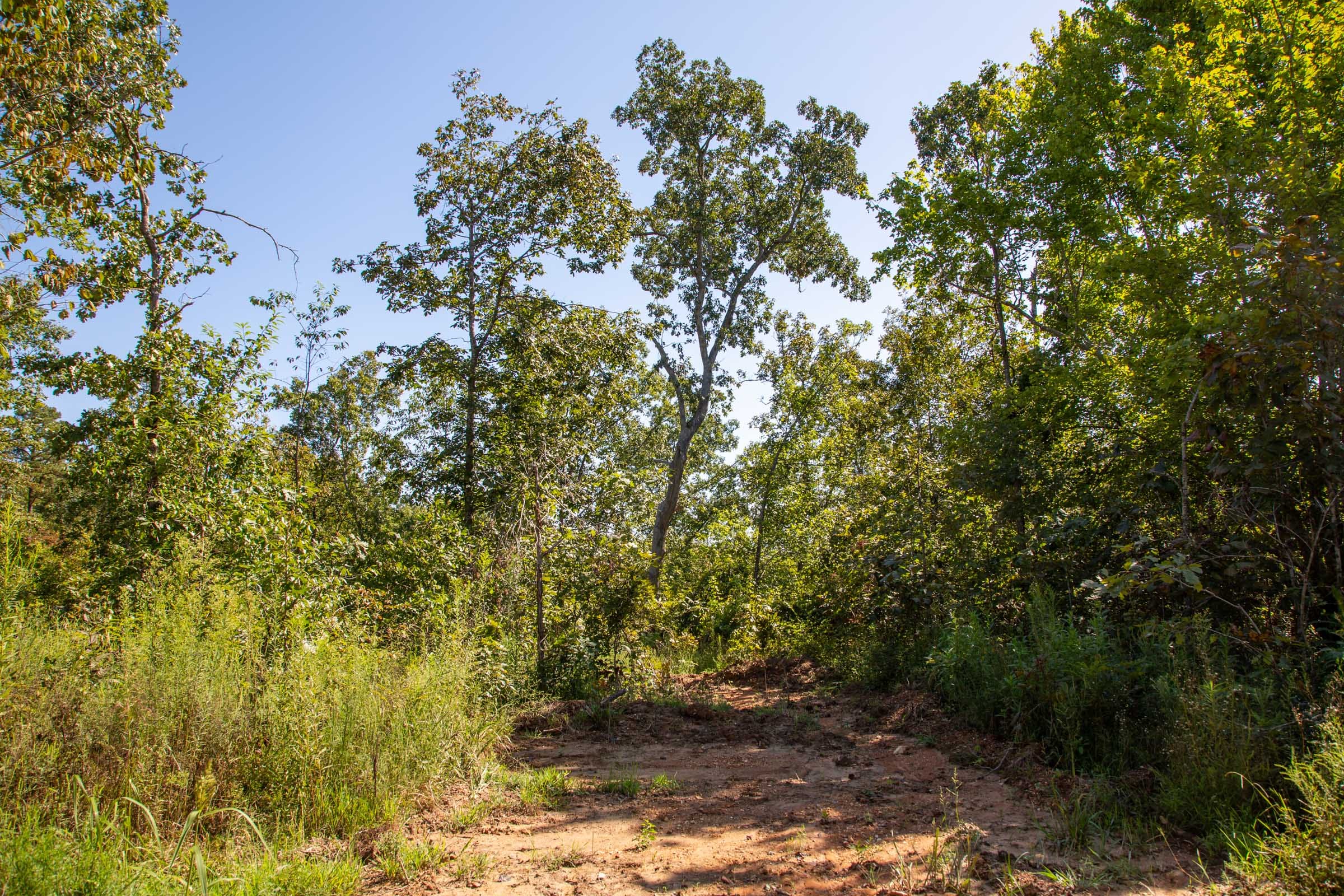 Borgmann’s Hollow Phase II Tract 67 photo 7