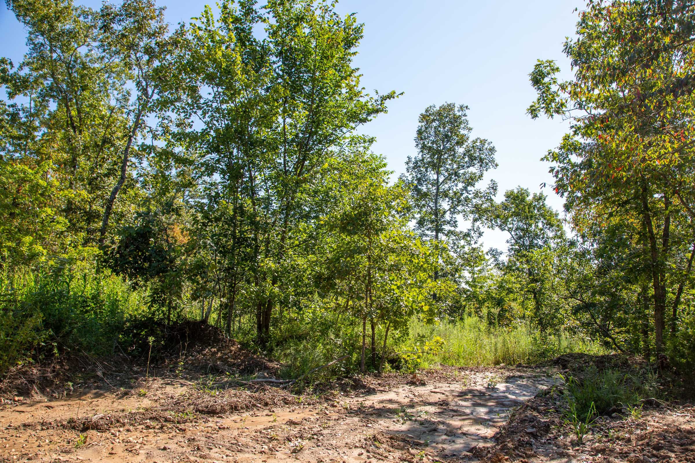 Borgmann’s Hollow Phase II Tract 67 photo 9