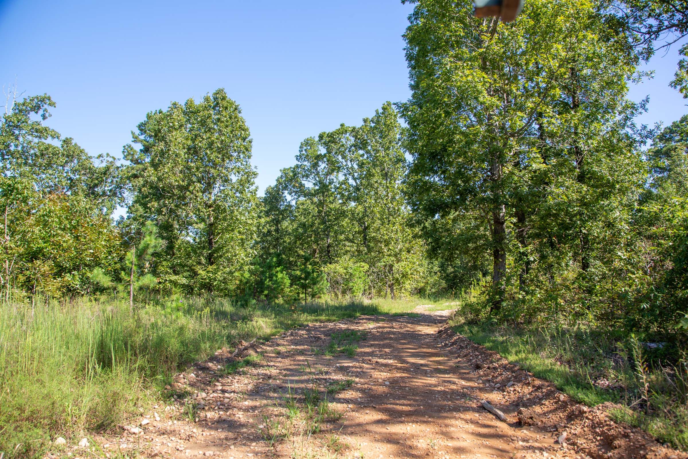 Borgmann’s Hollow Phase II Tract 67 photo 12