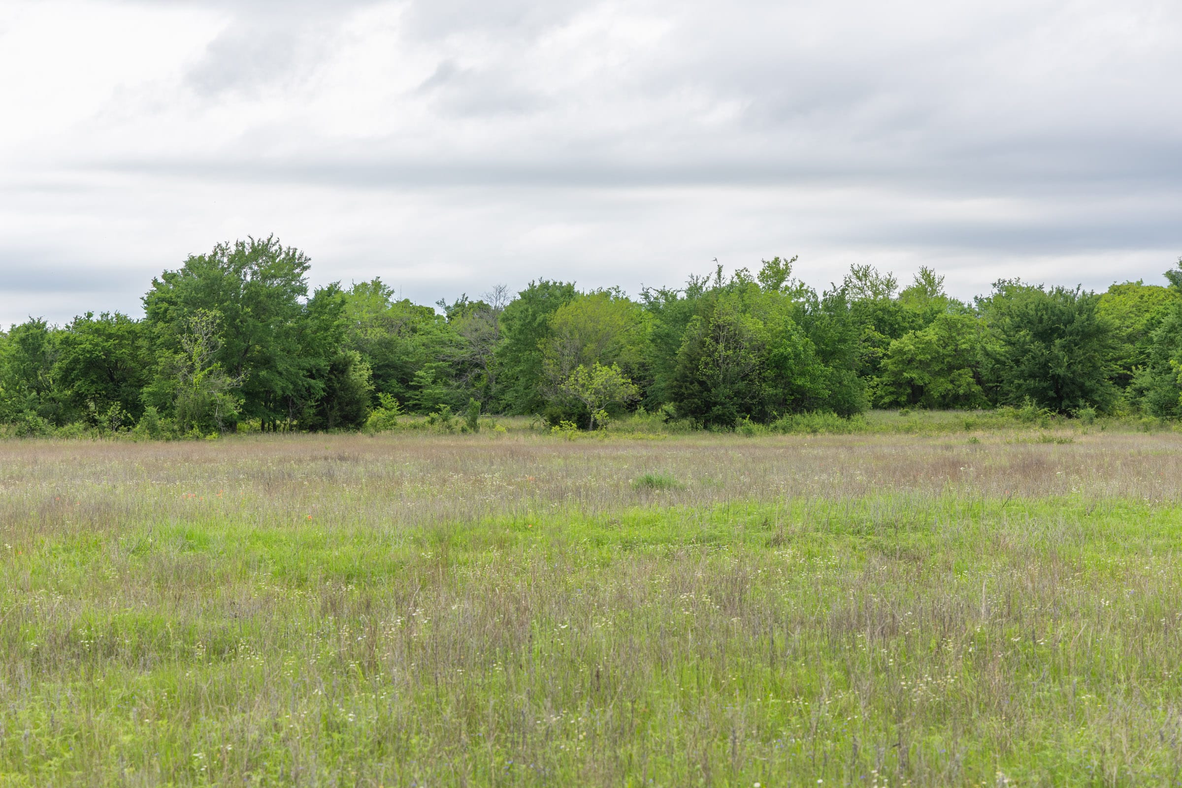 Harmony Hills Tract 28 photo 8