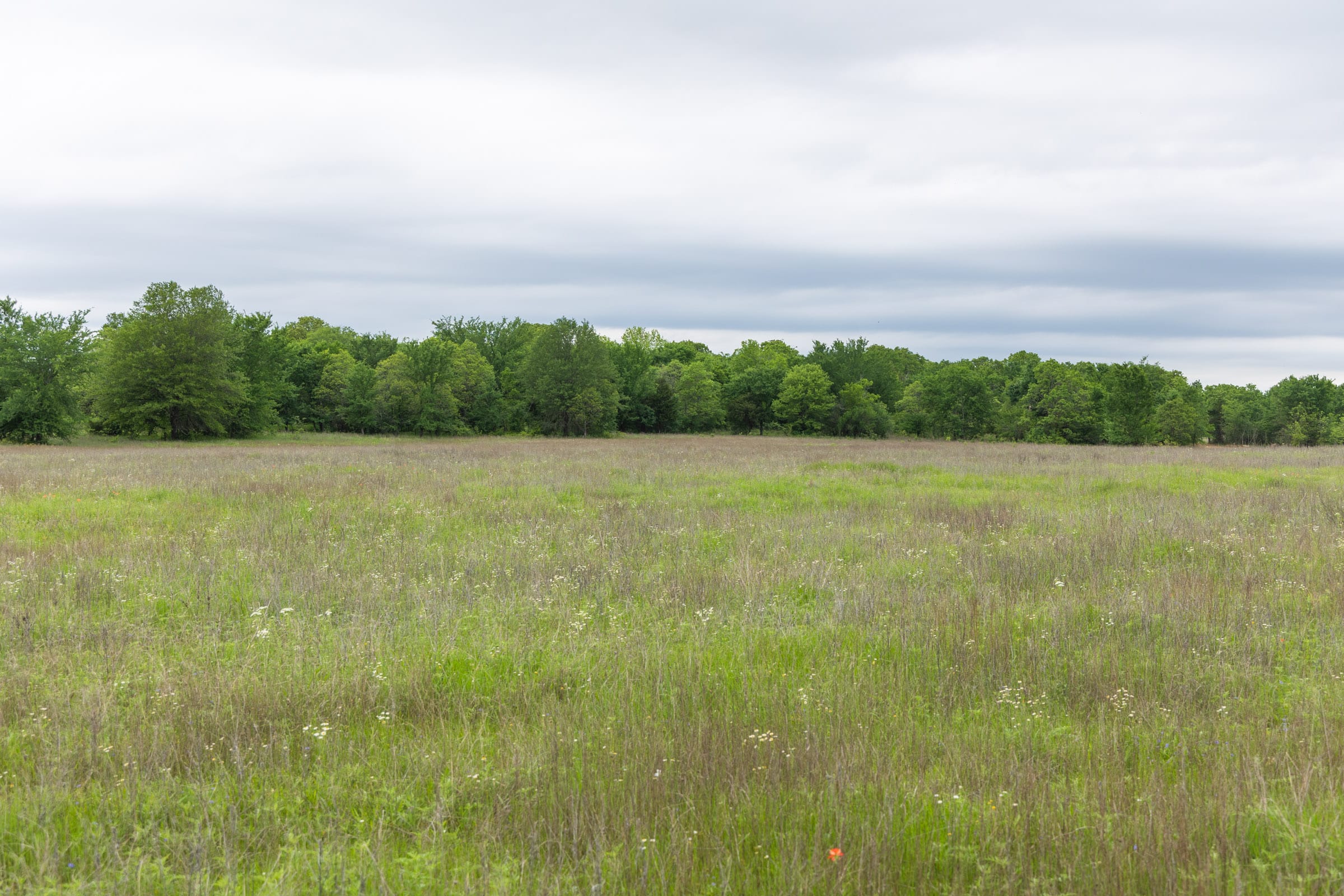 Harmony Hills Tract 28 photo 10