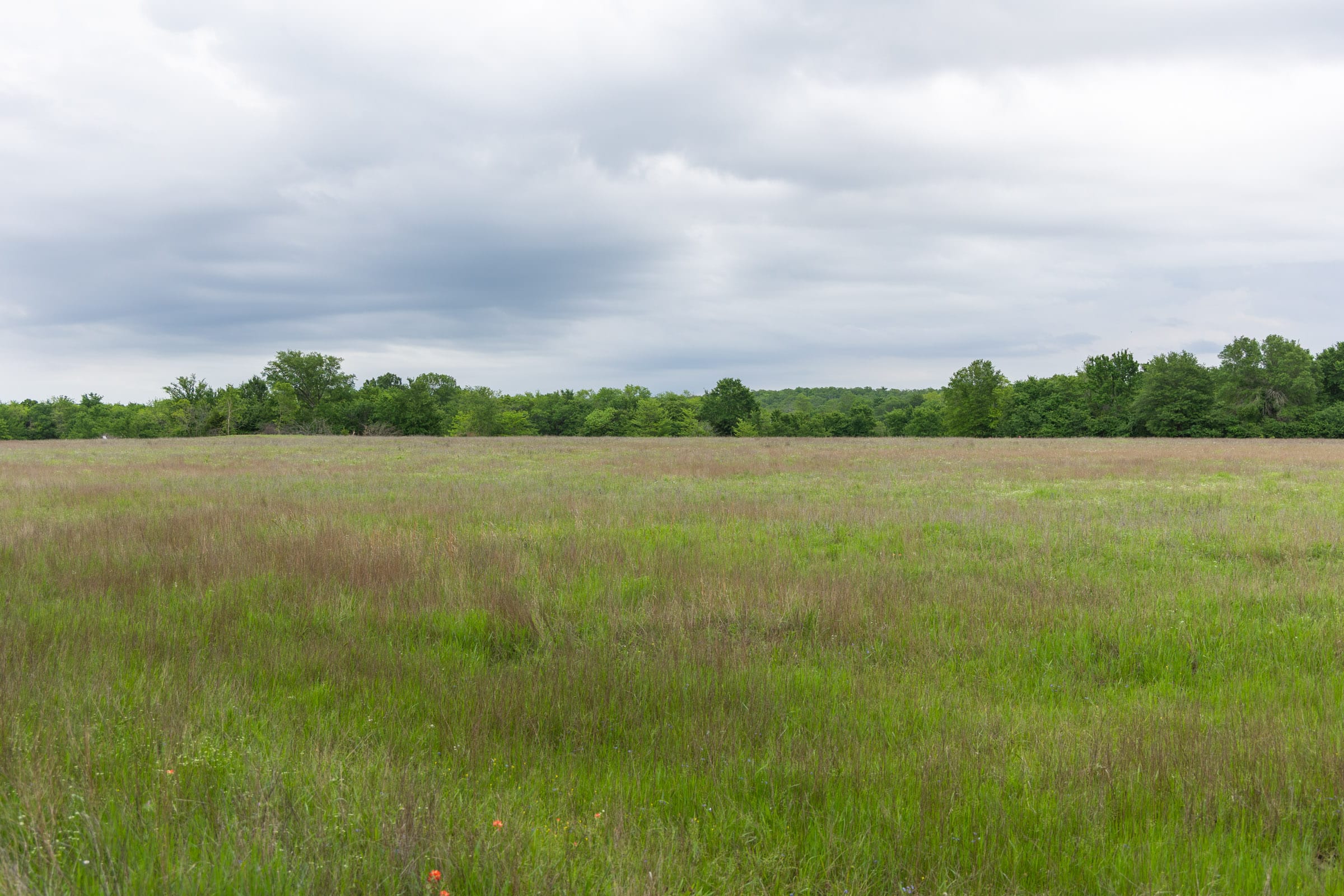 Harmony Hills Tract 28 photo 11