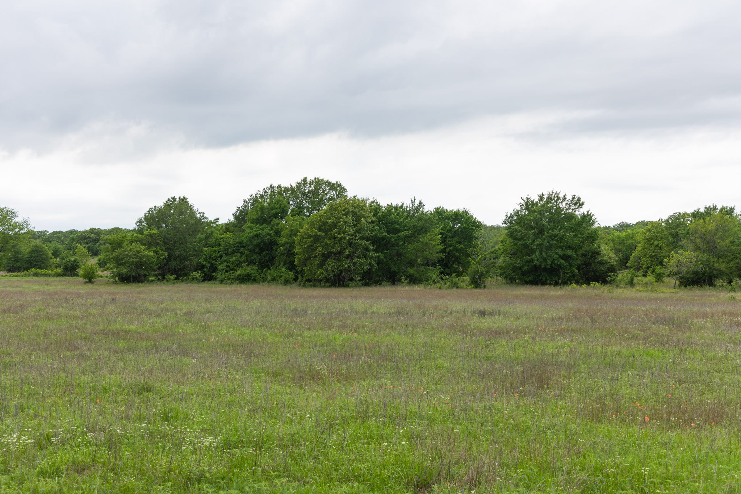 Harmony Hills Tract 28 photo 4