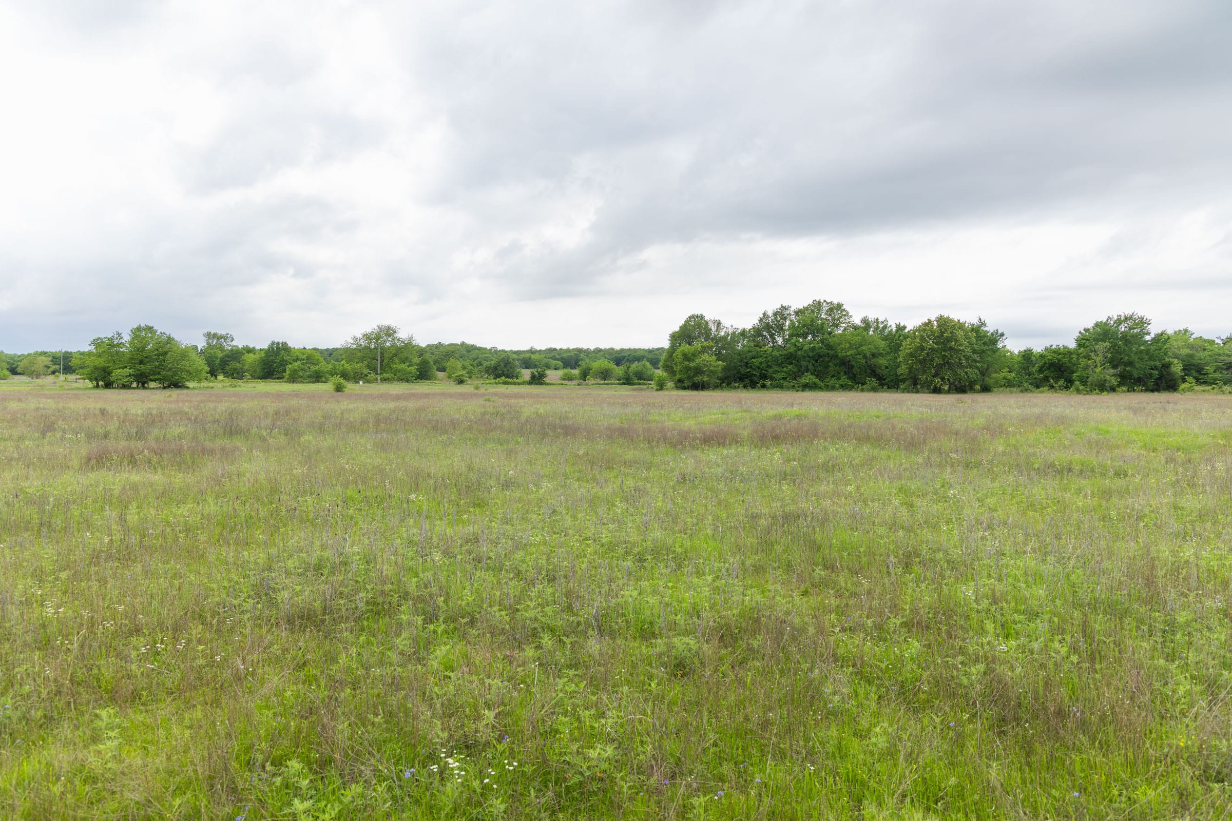 Harmony Hills Tract 28 photo 15