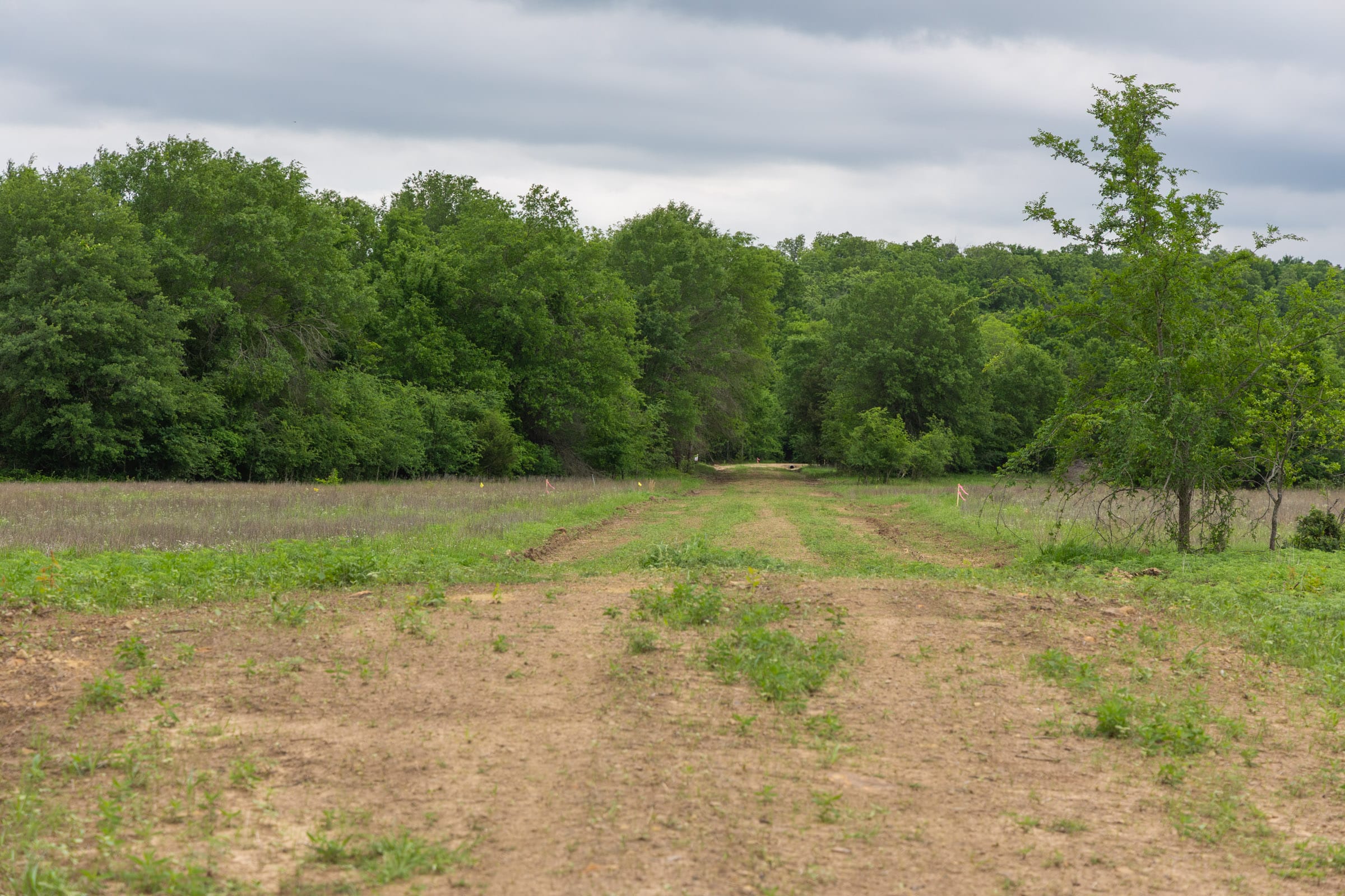 Harmony Hills Tract 28 photo 7