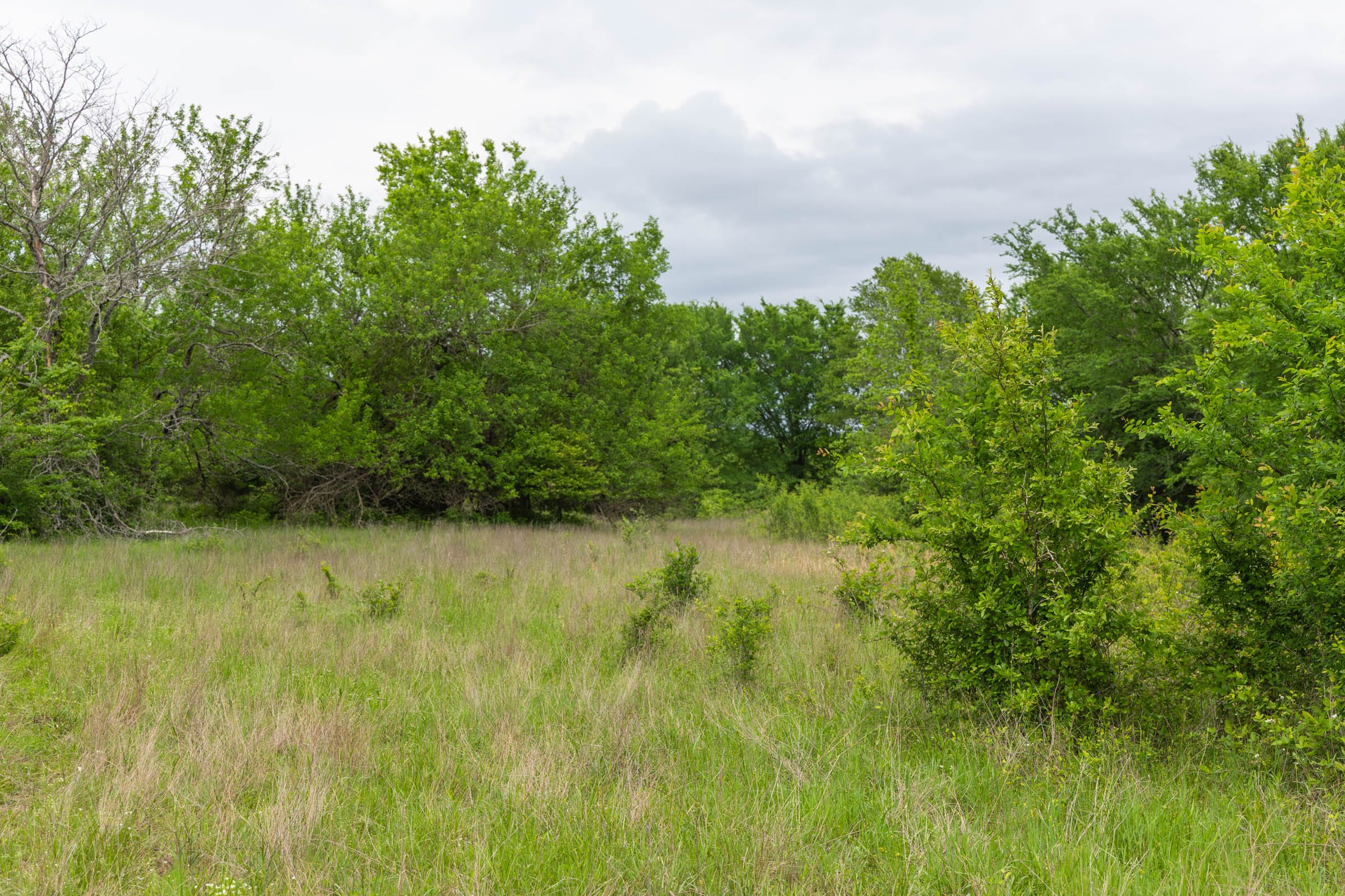 Harmony Hills Tract 28 photo 12