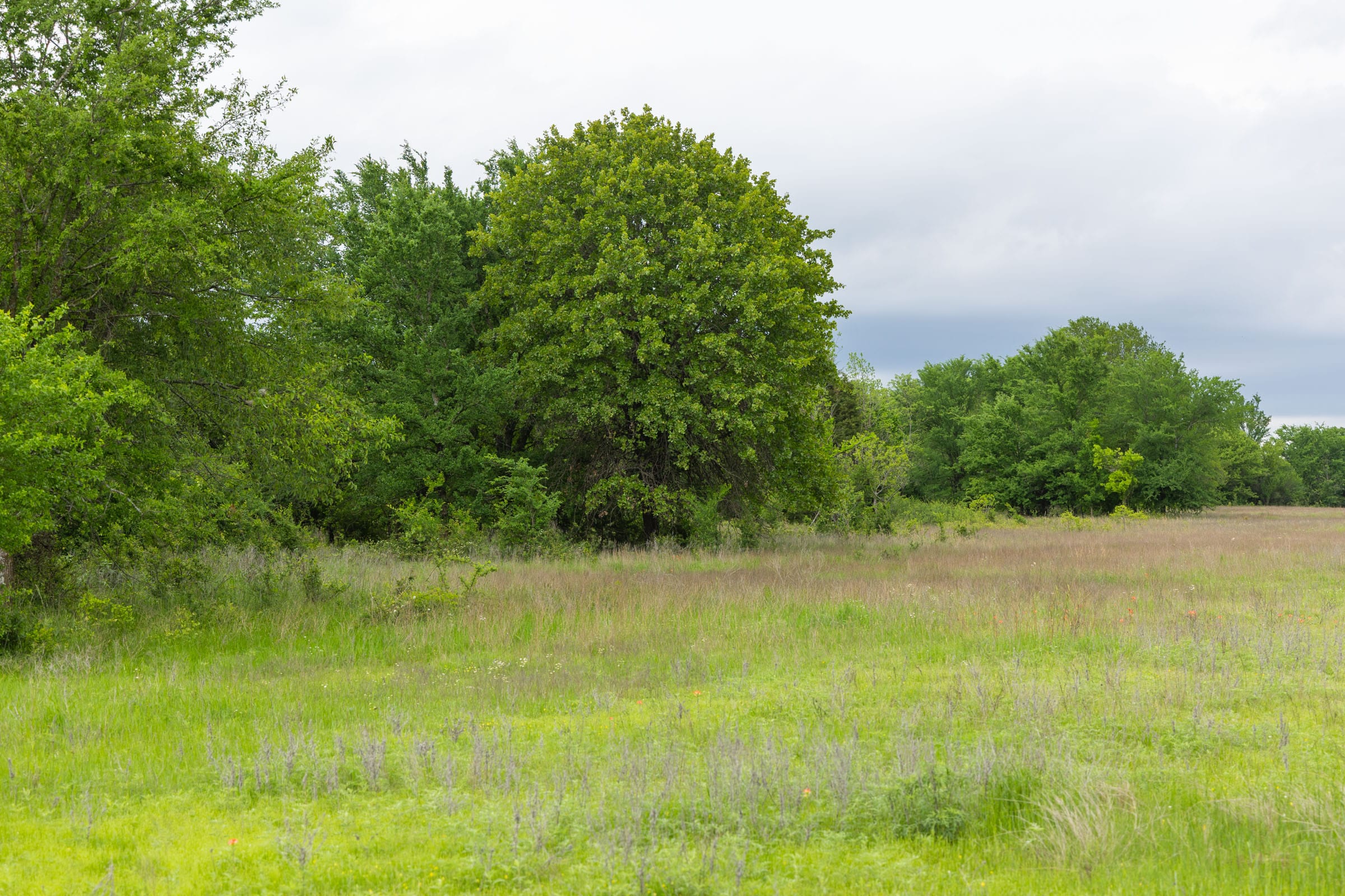 Harmony Hills Tract 28 photo 9