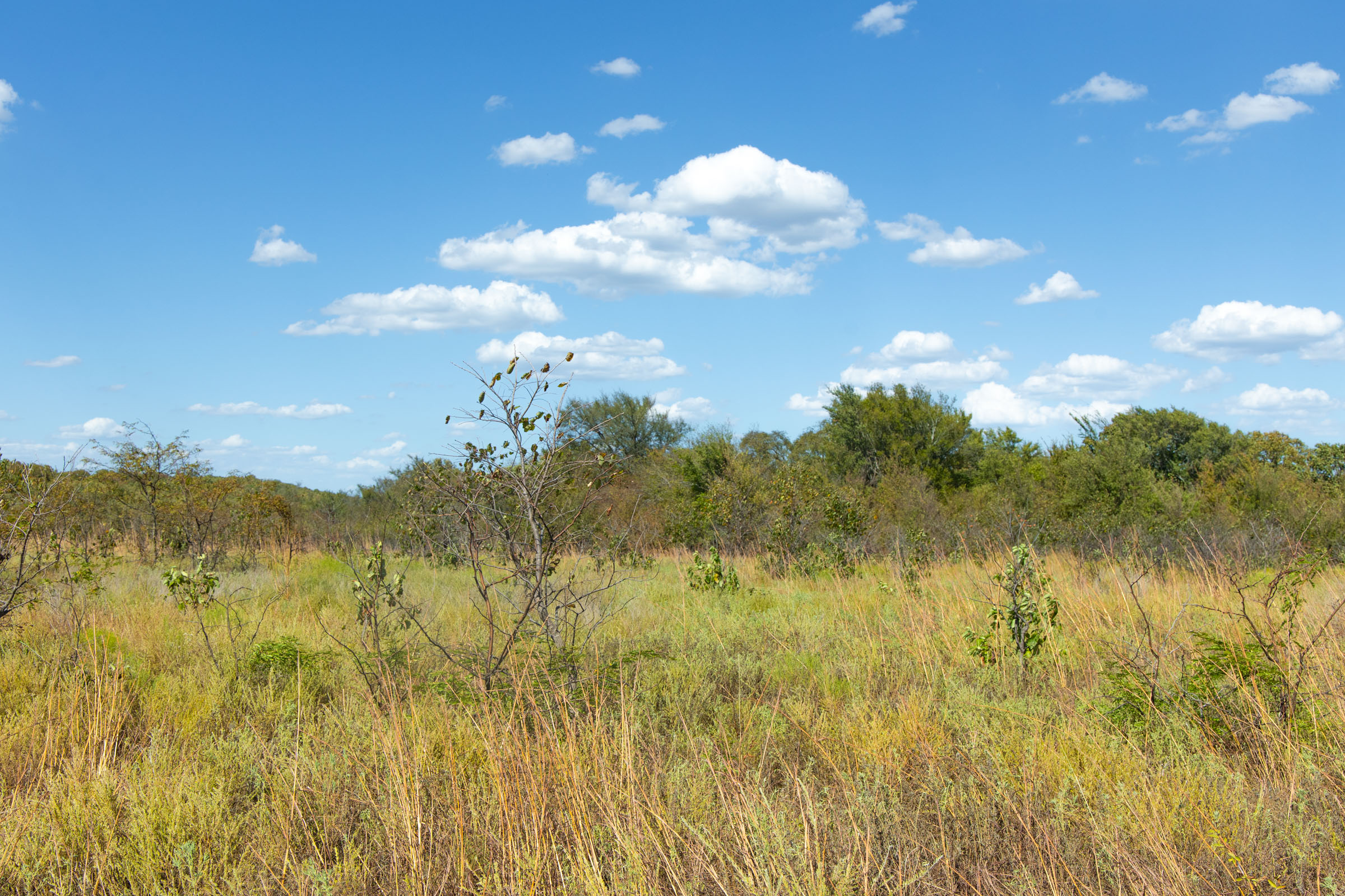 Gracyn Meadows Tract 10 photo 7