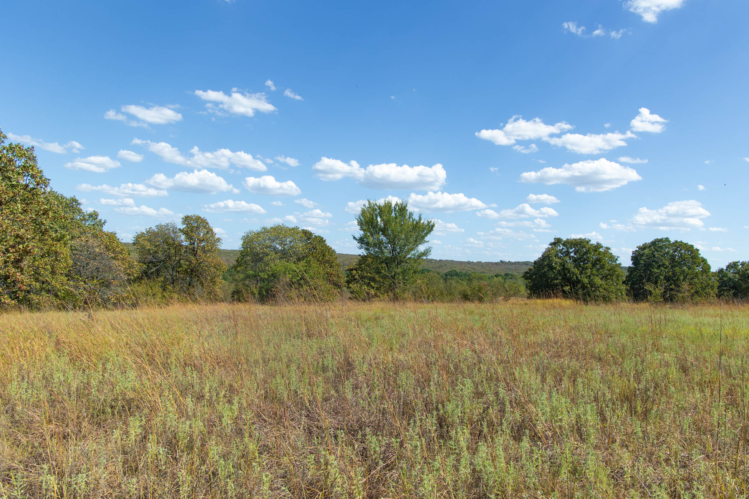 Gracyn Meadows Tract 10 photo 8