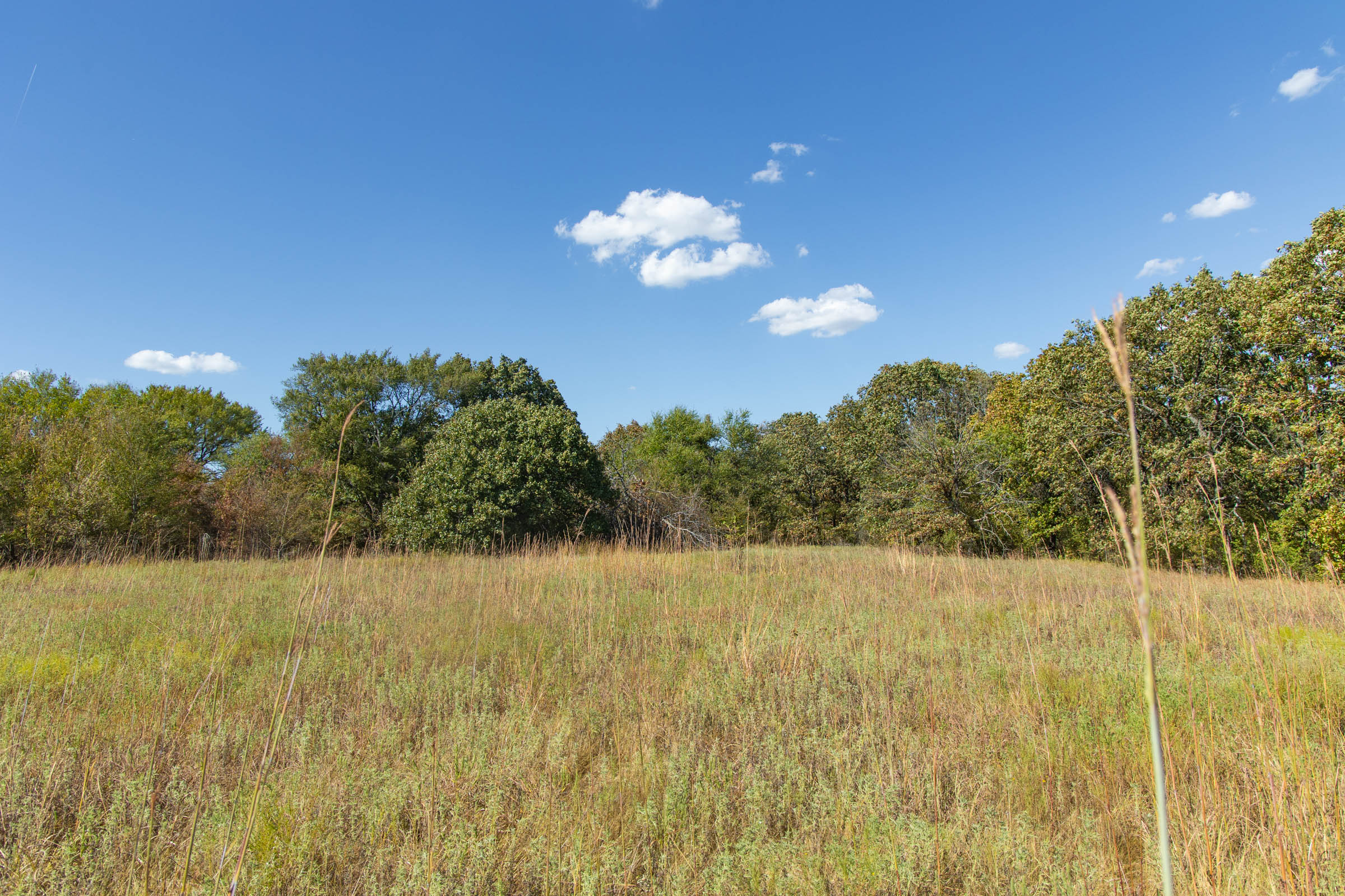 Gracyn Meadows Tract 10 photo 4