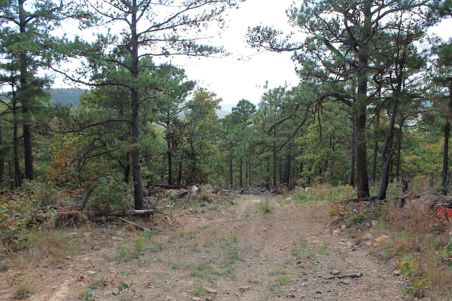 Indian Ridge – Phase III Tract 100 photo 2