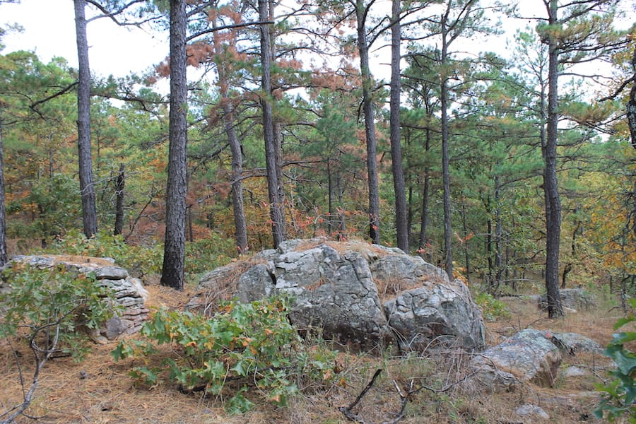 Indian Ridge – Phase III Tract 100 photo 4